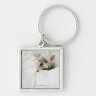 Dog in bed keychain