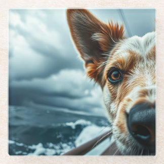 Dog in Bed of RV Glass Coaster
