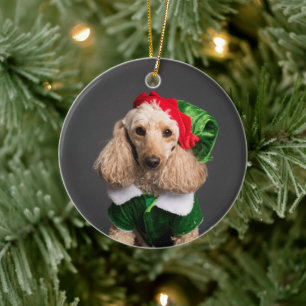 Dog in Elf Costume Ceramic Ornament