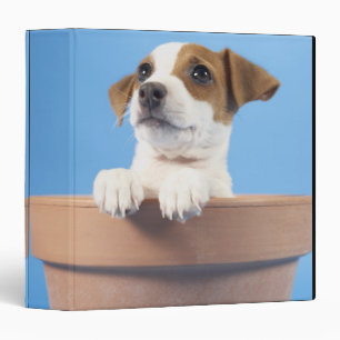 Dog in flowerpot binder