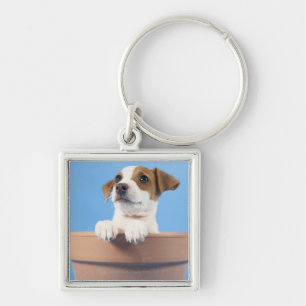Dog in flowerpot keychain