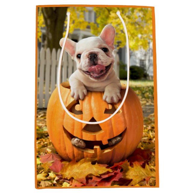 Dog in Jack-o-Lantern Medium Gift Bag (Front)