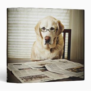 Dog in morning routine binder