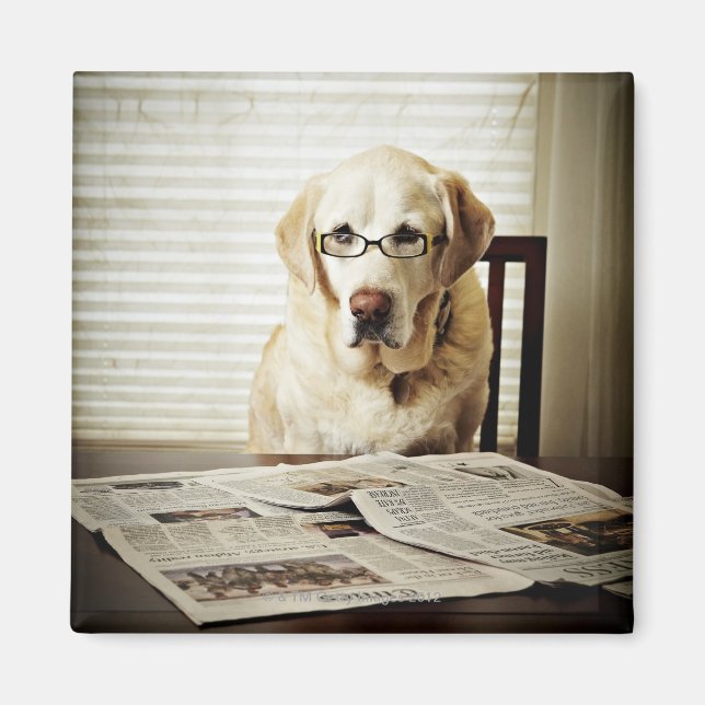 Dog in morning routine magnet (Front)