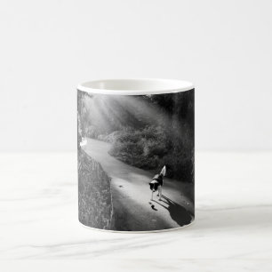 Dog in morning sunlight coffee mug