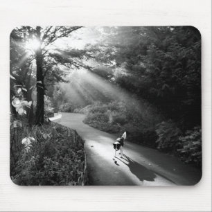 Dog in morning sunlight mouse pad