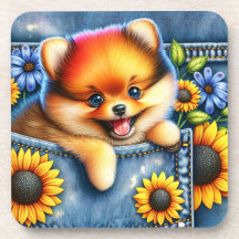 Dog in Pocket