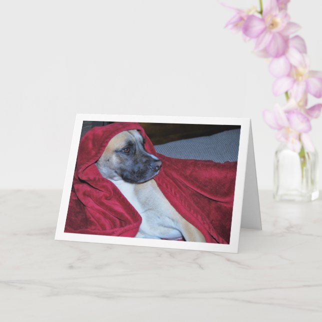 Dog in Red Blanket Portrait Card (Orchid)