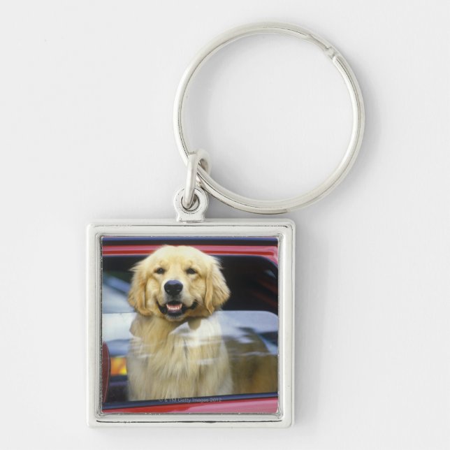 Dog in red car window keychain (Front)
