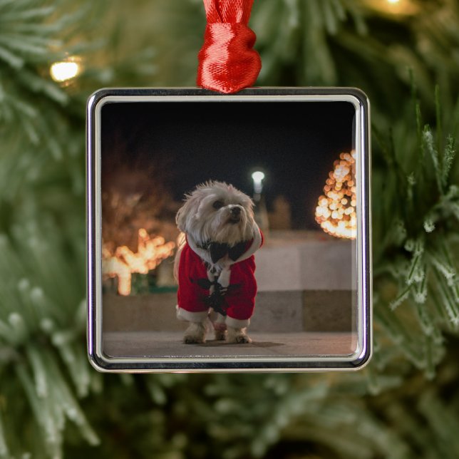 Dog in Santa costume Metal Ornament (Tree)