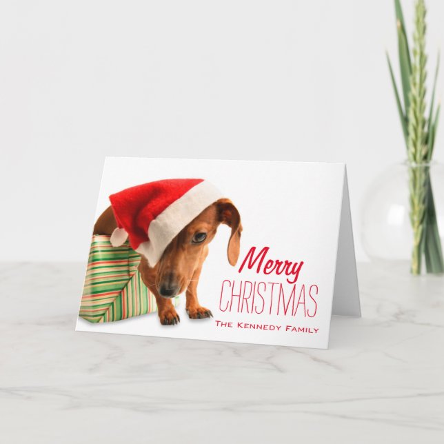 Dog in Santa hat Holiday Card (Front)