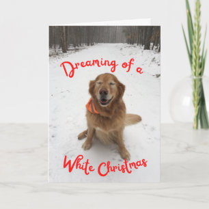 Dog in Snow Dreaming of White Christmas Card