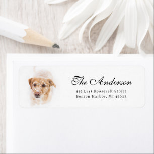 Dog in Snow Photo Return Address 