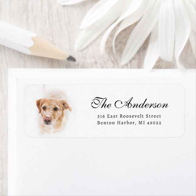 Dog in Snow Photo Return Address  (Insitu)