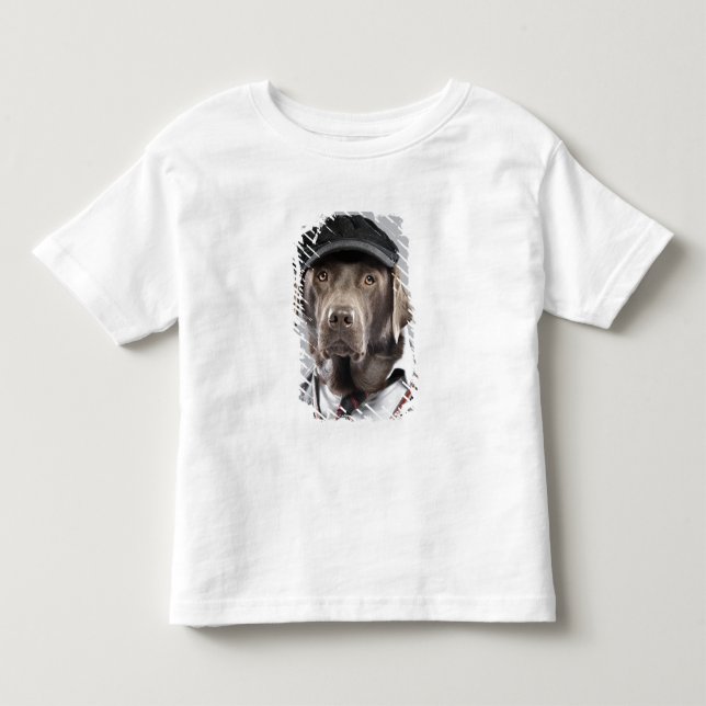 Dog in sweater and cap (Front)