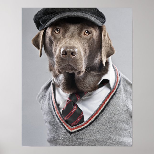 Dog in sweater and cap poster (Front)