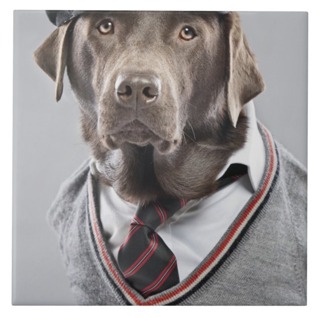 Dog in sweater and cap tile (Front)