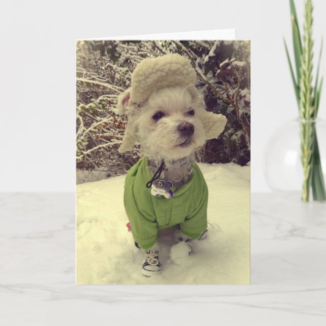 Dog in the snow holiday card (Front)