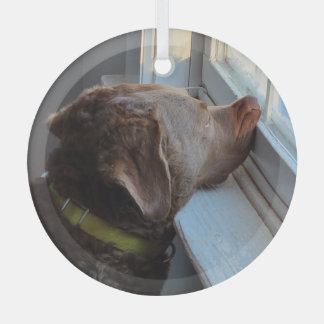 Dog in the Window Glass Ornament