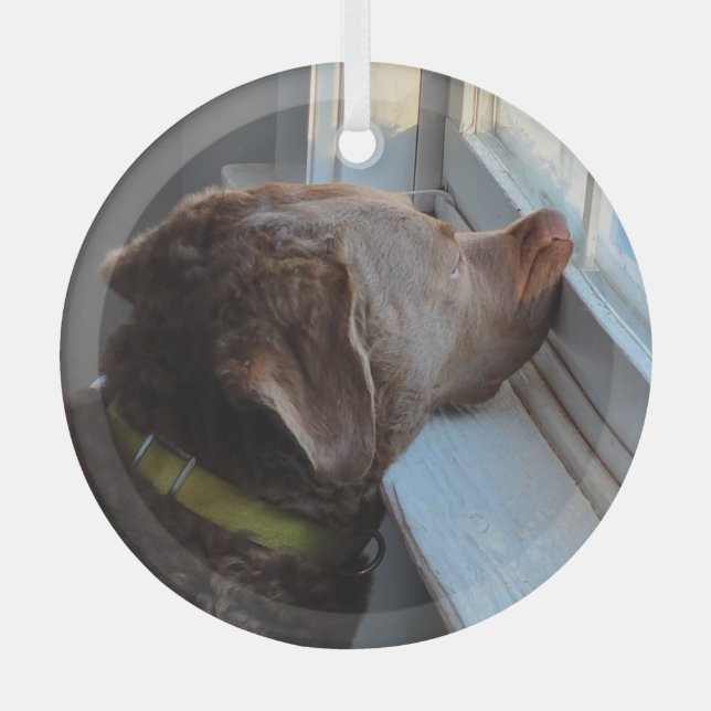 Dog in the Window Glass Ornament (Front)