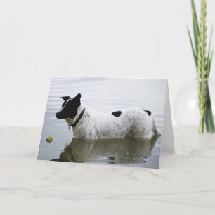Dog in Water with Tennis Ball Card