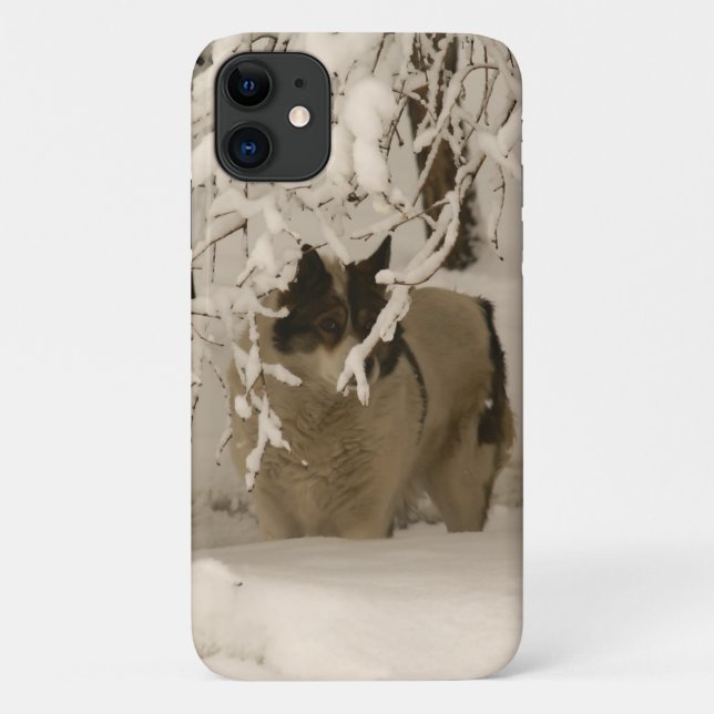 Dog in winter Case-Mate iPhone case (Back)