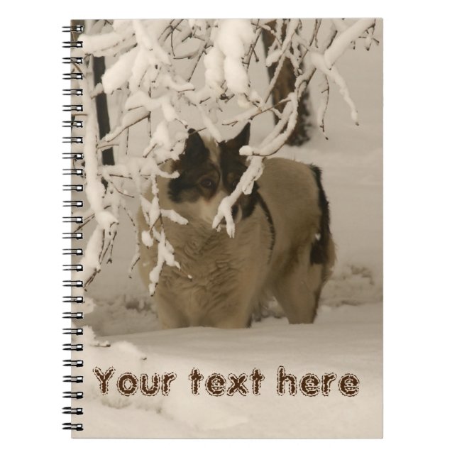 Dog in winter notebook (Front)