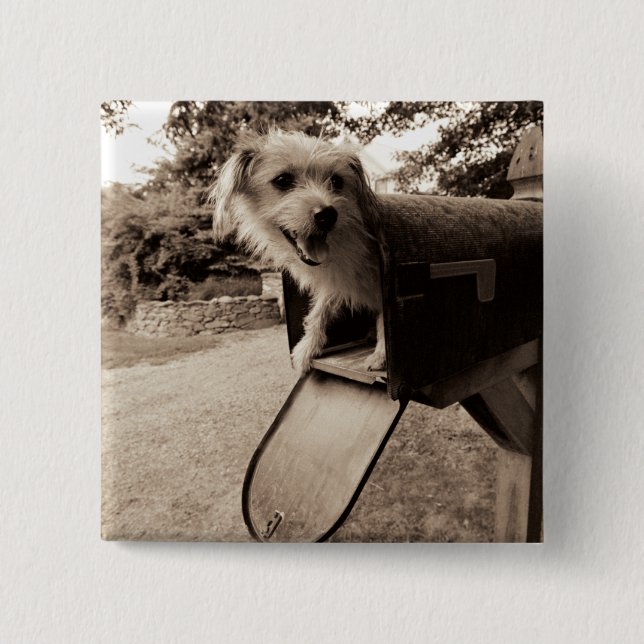 Dog Inside a Mailbox 2 Inch Square Button (Front)