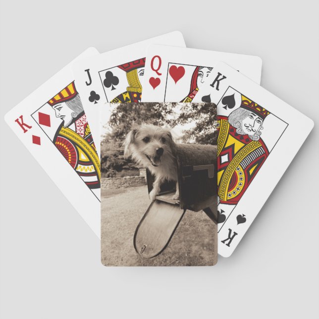 Dog Inside a Mailbox Playing Cards (Back)