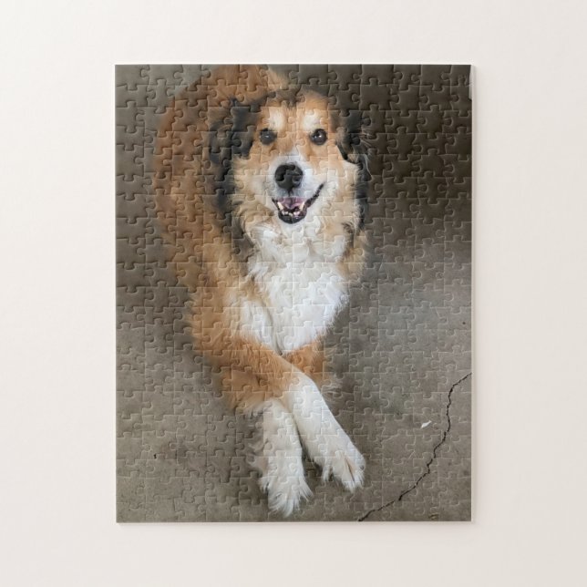 Dog Jigsaw Puzzle (Vertical)