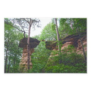 Dog Jumping from Stand Rock in Wisconsin Dells Photo Print