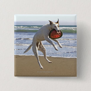 Dog jumping to catch a frisbee on beach 2 inch square button