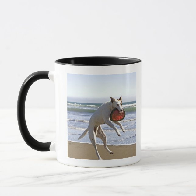 Dog jumping to catch a frisbee on beach mug (Left)