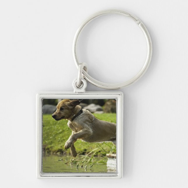 Dog jumps into pond keychain (Front)