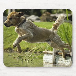 Dog jumps into pond mouse pad