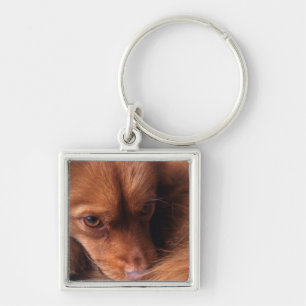 dog keychain