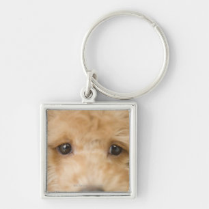 Dog Keychain
