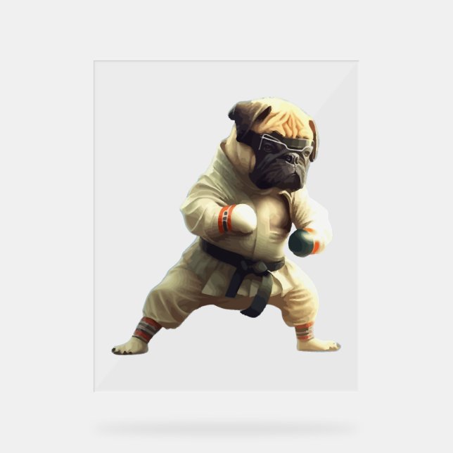 Dog Knows Karate transformed   Acrylic Sign (Front)