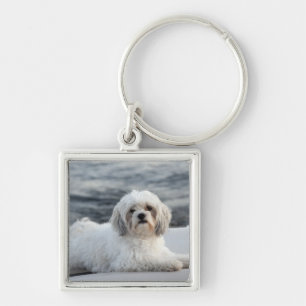 Dog laying by the water keychain