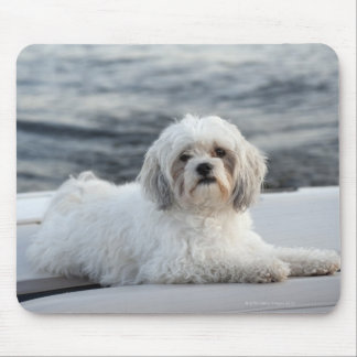 Dog laying by the water mouse pad