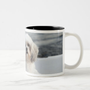 Dog laying by the water Two-Tone coffee mug