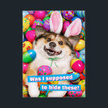 Dog Laying on Easter Eggs<br><div class="desc">Eggs-cellent! | Avanti,  the Global Humour Brand™ has been entertaining the world with its Feel Good Funny greeting cards for over 40 years. Our characters live life to the fullest and celebrate the humour in everyday life.</div>