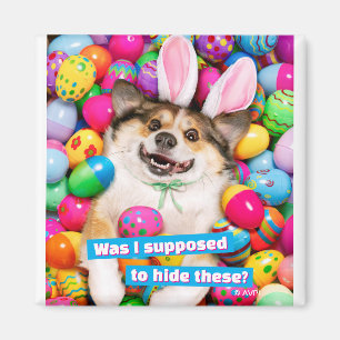 Dog Laying on Easter Eggs Magnet