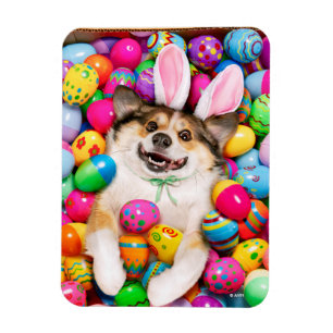 Dog Laying on Easter Eggs Magnet