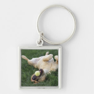 Dog laying upside down in grass with tennis ball keychain