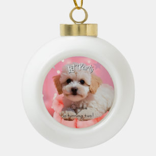 Dog Let's Party Birthday Ceramic Ball Christmas Ornament