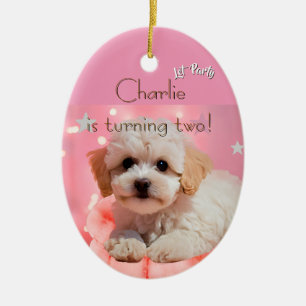 Dog Let's Party Birthday Ceramic Ornament