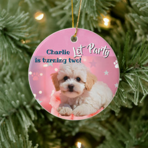 Dog Let's Party Birthday Ceramic Ornament