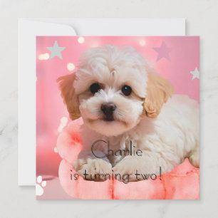 Dog Let's Party Birthday Invitation
