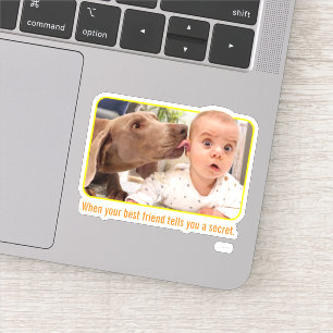 Dog Licking Baby's Ear